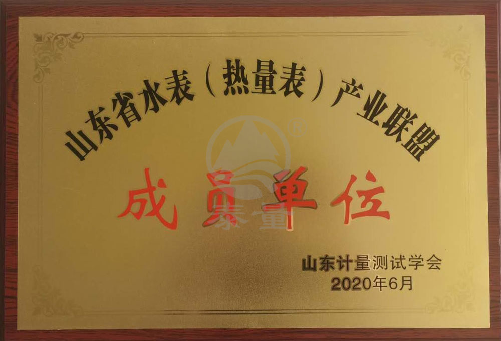 山東省水表產(chǎn)業(yè)聯(lián)盟證書(shū)